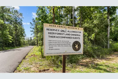 194 Exploration Road, Willis, TX 77378 - Photo 9