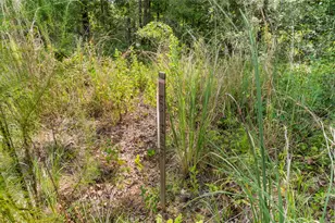 194 Exploration Rd, Willis, TX 77378 - Photo 7