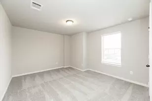 30338 Tall Fescue Dr, Fulshear, TX 77423 - Photo 27