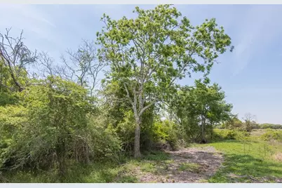 Tract 2 Farm Market 530, Edna, TX 77957 - Photo 7