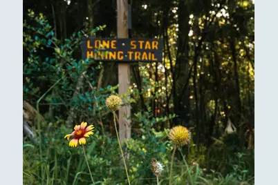 Lot 44 Brahman Lane, New Waverly, TX 77358 - Photo 3