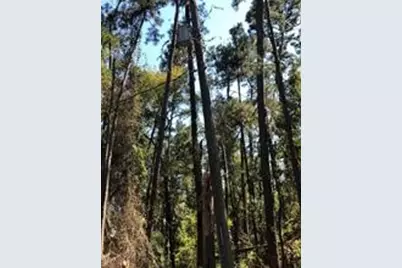 3330 Lakelane Drive, Houston, TX 77338 - Photo 7