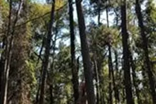 3330 Lakelane Dr, Houston, TX 77338 - Photo 7