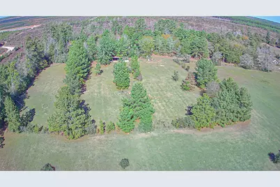 2764 Richardson Road E, Livingston, TX 77351 - Photo 9