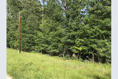 Lot 193 Elmwood Drive, Livingston, TX 77351 - Photo 5