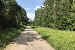 Lot 193 Elmwood Dr, Livingston, TX 77351 - Photo 1