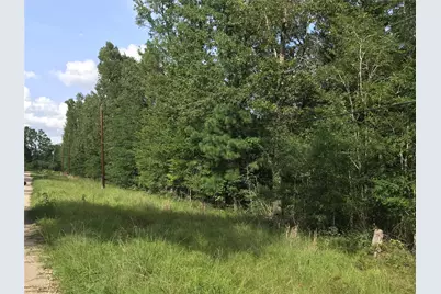 Lot 193 Elmwood Drive, Livingston, TX 77351 - Photo 3
