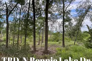 Tbd N Bonnie Lake Dr, Hempstead, TX 77445 - Photo 1
