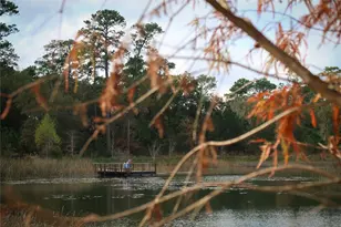 5737 Kansas St, Houston, TX 77007 - Photo 41