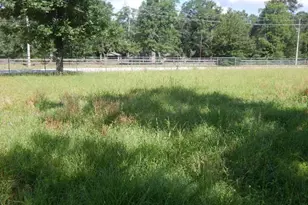 11636 Browder Traylor Rd, Conroe, TX 77303 - Photo 13