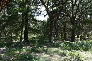 14600 Fm 530, Hallettsville, TX 77964 - Photo 17