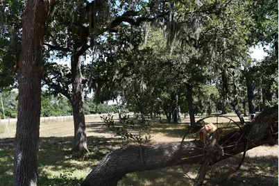 14600 Fm 530, Hallettsville, TX 77964 - Photo 3
