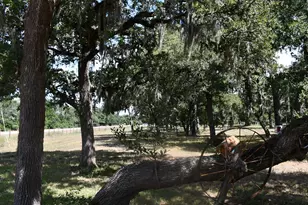 14600 Fm 530, Hallettsville, TX 77964 - Photo 3