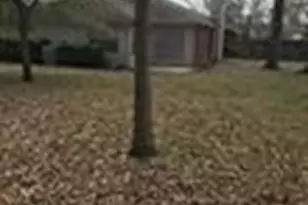 10718 Windswept, Montgomery, TX 77356 - Photo 9