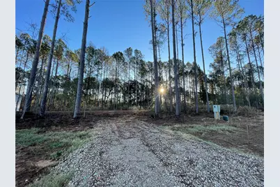 11362 Annie Creek Drive, Willis, TX 77378 - Photo 3