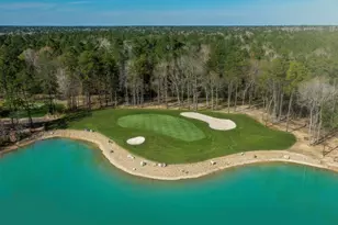 9620 Mount Brewer Ln, Porter, TX 77365 - Photo 25