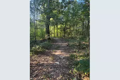 Tbd Richard St Street, Coldspring, TX 77331 - Photo 5