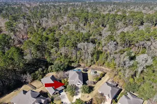 126 Wood Drake Place, Tomball, TX 77375 - Photo 45