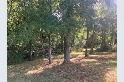 801 Camilla Lake Road, Coldspring, TX 77331 - Photo 11