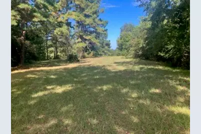 801 Camilla Lake Road, Coldspring, TX 77331 - Photo 9