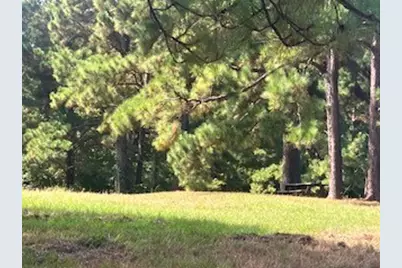 801 Camilla Lake Road, Coldspring, TX 77331 - Photo 13