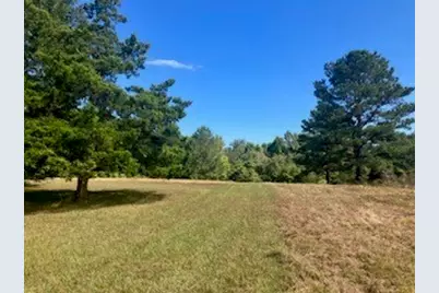 801 Camilla Lake Road, Coldspring, TX 77331 - Photo 15