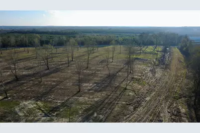 693 County Road 4700, Kennard, TX 75847 - Photo 7