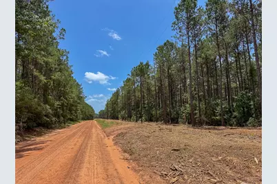 04 Benny Griffin Road, Livingston, TX 77351 - Photo 15