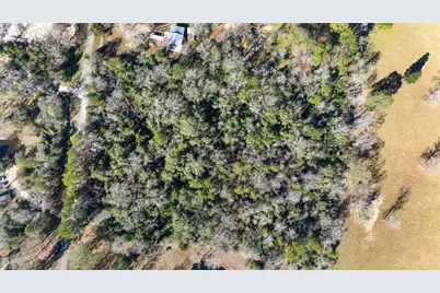 15685 McKay Road, Willis, TX 77378 - Photo 17