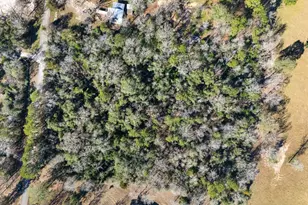 15685 McKay Rd, Willis, TX 77378 - Photo 17