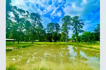 14733 Calhoun Main House Road, Conroe, TX 77302 - Photo 3