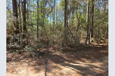 2 Cherry Tree Lane, Plantersville, TX 77363 - Photo 3