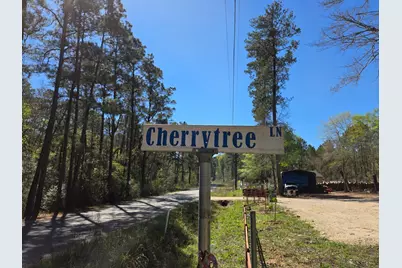 2 Cherry Tree Lane, Plantersville, TX 77363 - Photo 1