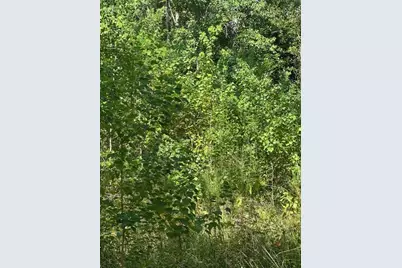 26976 Callie Drive, Hempstead, TX 77445 - Photo 11