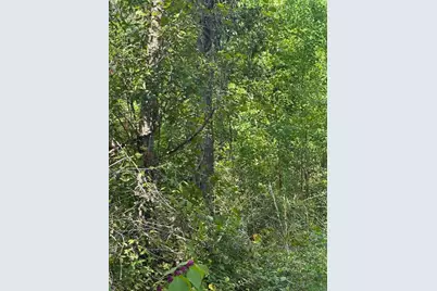 26976 Callie Drive, Hempstead, TX 77445 - Photo 1