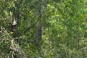 26976 Callie Dr, Hempstead, TX 77445 - Photo 1