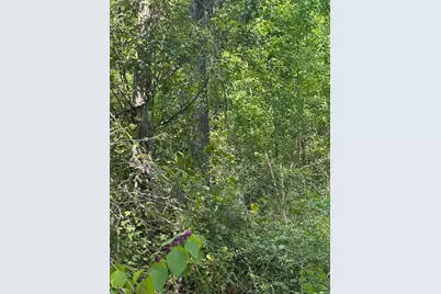 26976 Callie Drive, Hempstead, TX 77445 - Photo 5