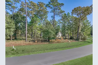 4441 Holly Trail Road, Montgomery, TX 77316 - Photo 3