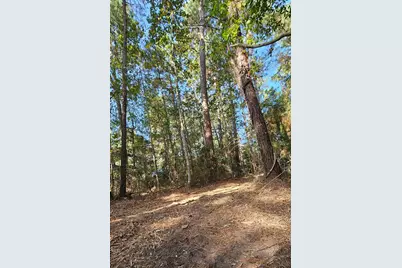 Tbd Gregory, New Waverly, TX 77358 - Photo 5