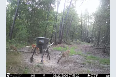 0 County Road 2016, Newton, TX 75966 - Photo 5