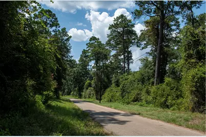 0 County Road 2016, Newton, TX 75966 - Photo 11