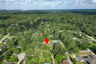 11619 Possum Hollow Ln, Houston, TX 77065 - Photo 47
