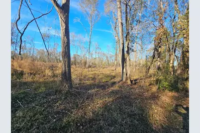 Lot 47 Sherwood Drive, Shepherd, TX 77371 - Photo 11
