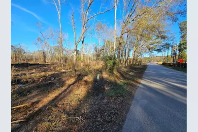Lot 47 Sherwood Drive, Shepherd, TX 77371 - Photo 1
