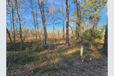 Lot 47 Sherwood Drive, Shepherd, TX 77371 - Photo 13