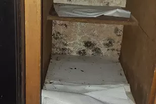 2425 Holly Hall St, Houston, TX 77054 - Photo 15