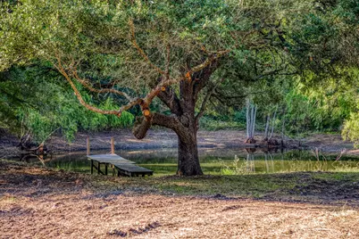 0000 Sun Oil Road, Brenham, TX 77833 - Photo 13