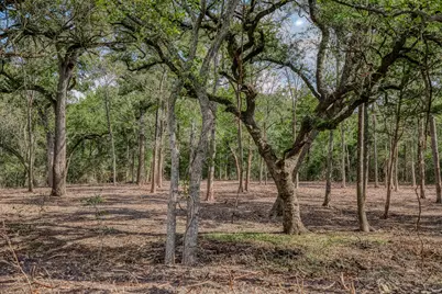 0000 Sun Oil Road, Brenham, TX 77833 - Photo 33