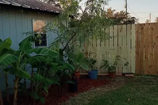6004 Pine St, Brazoria, TX 77422 - Photo 11