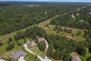 409 Ridge Lake Scenic Dr, Montgomery, TX 77316 - Photo 43
